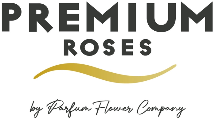 Rosa Premium Innocent