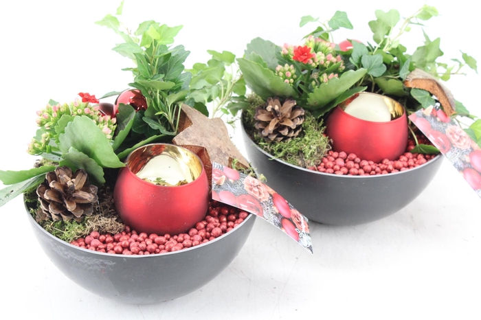 arr2 MB - Kunstst. schaaltje RED 1wax x5