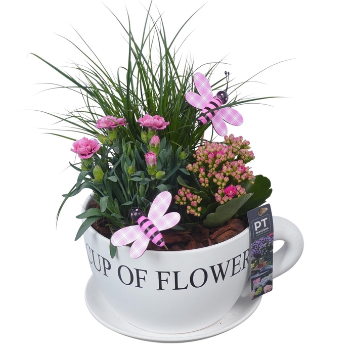 <h4>PTPP7061 Arrangement Patio in keramiek kop met schotel</h4>