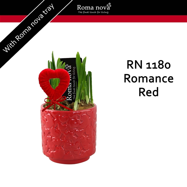 <h4>1180 - Romance Red (Tete a Tete)</h4>