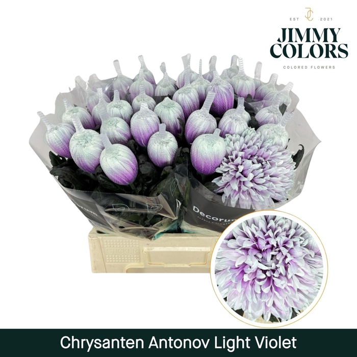 <h4>Chr G Antonov Light Violet</h4>
