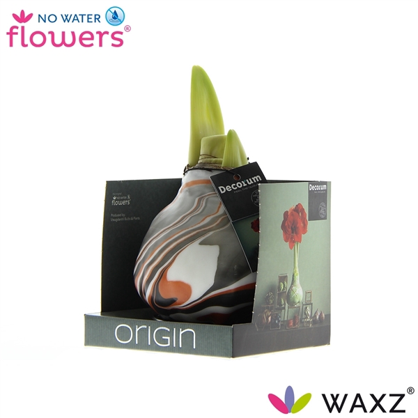 <h4>No Water Flowers Waxz® Artooz Earth Copper Boxz(Decorum)</h4>