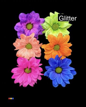 Chr T Chic Mix 6 Colors + Glit Bio