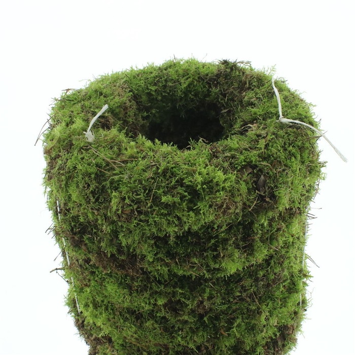 <h4>Wreath Moss 40cm</h4>