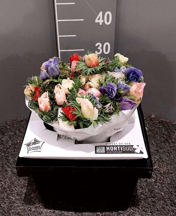 <h4>Anem Gal Mix Bac Mix</h4>