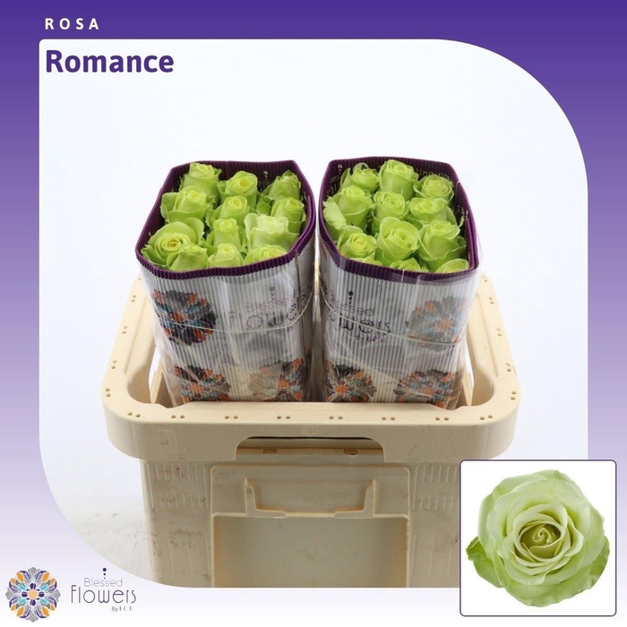 <h4>R GR ROMANCE</h4>