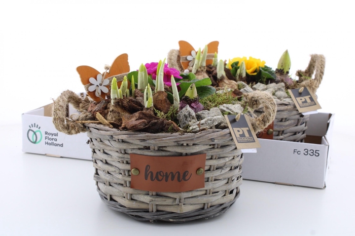 <h4>ARR PL IN SCHAAL</h4>