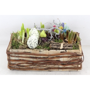 arr4 Bollenmix VL - Kist rechth. takjes