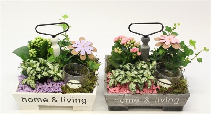 0442  ETAGERE 4 KANT