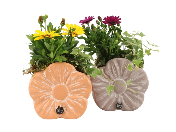 <h4>31692: Outdoor summer arrangement</h4>