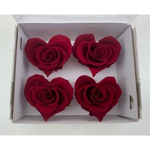 Ro Pres Hearts Red Light