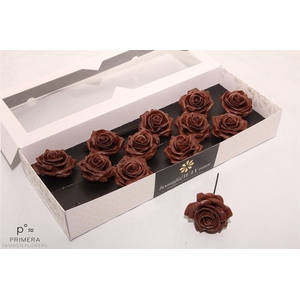 Roos Wax Zijde 9286 M Chocolade