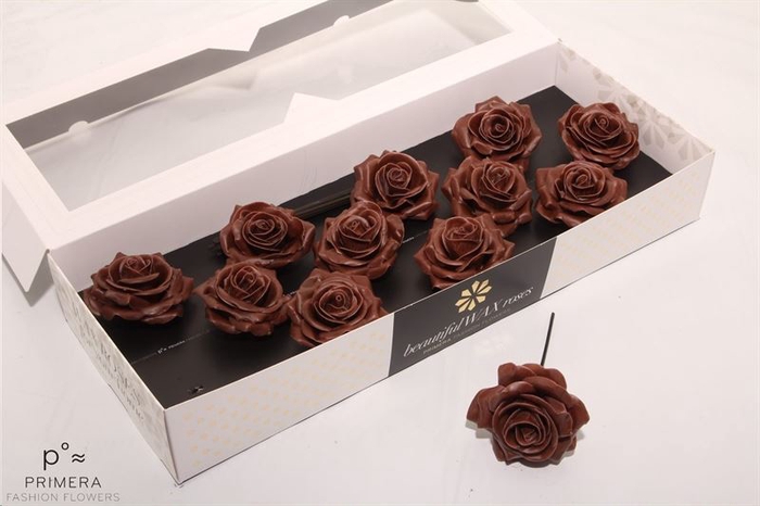 Roos Wax Zijde 9286 M Chocolade