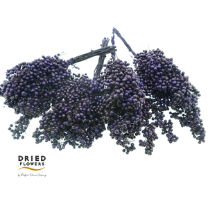 Dried Pepper Berries Purple