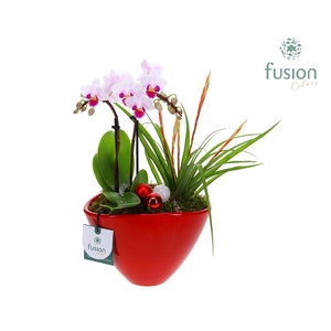 Pot keramiek Ovaal Kerst met Arrangement