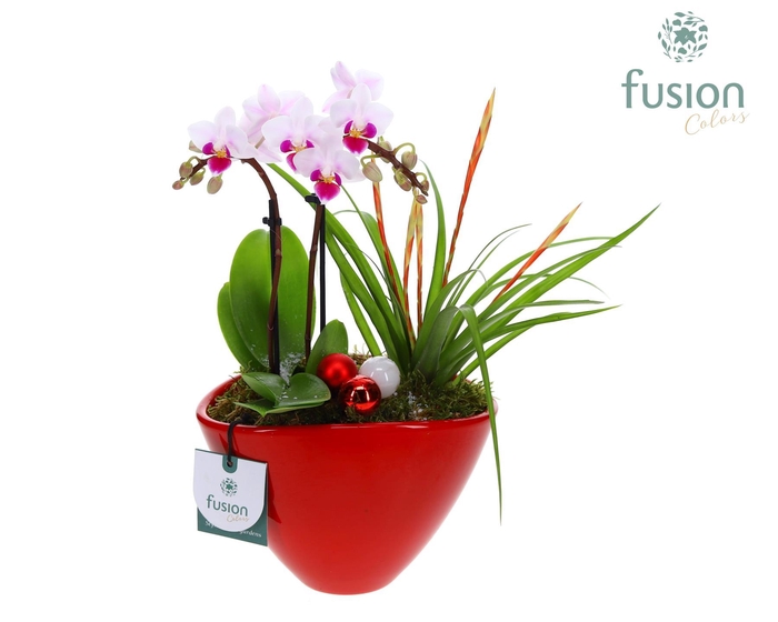 <h4>Pot keramiek Ovaal Kerst met Arrangement</h4>