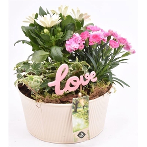 Zink schaal ribbel creme 18cm