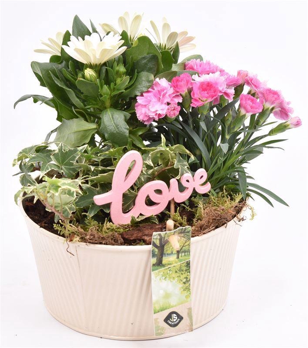 <h4>Zink schaal ribbel creme 18cm</h4>