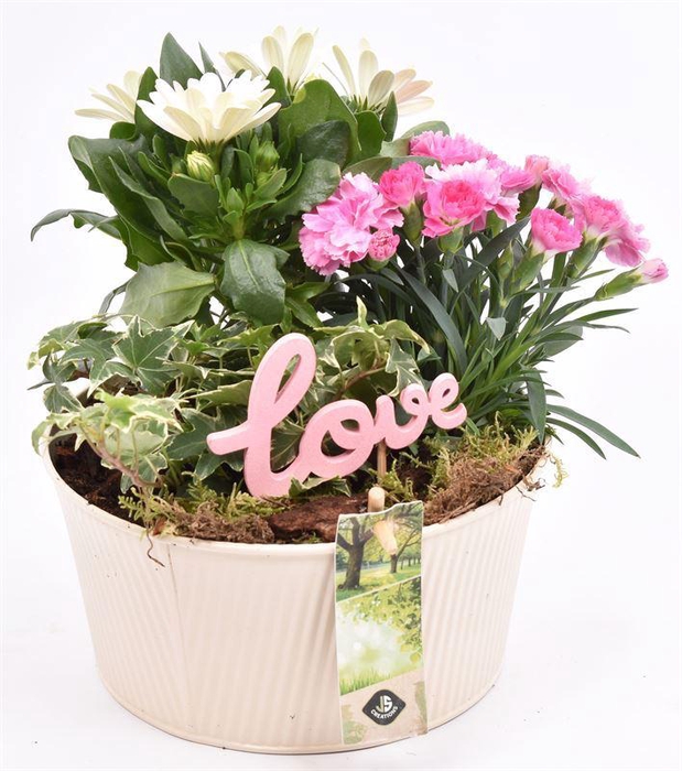 <h4>Zink schaal ribbel creme 18cm</h4>