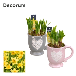 Narcis Loving Mug GM HL10937