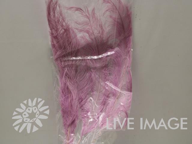 <h4>Feather ostrich milka 5st/bunch</h4>