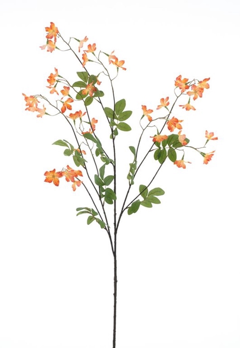 <h4>Lobelia spray 138cm orange</h4>