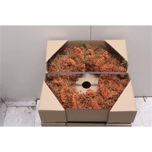 Krans Achillia Orange 35 Cm