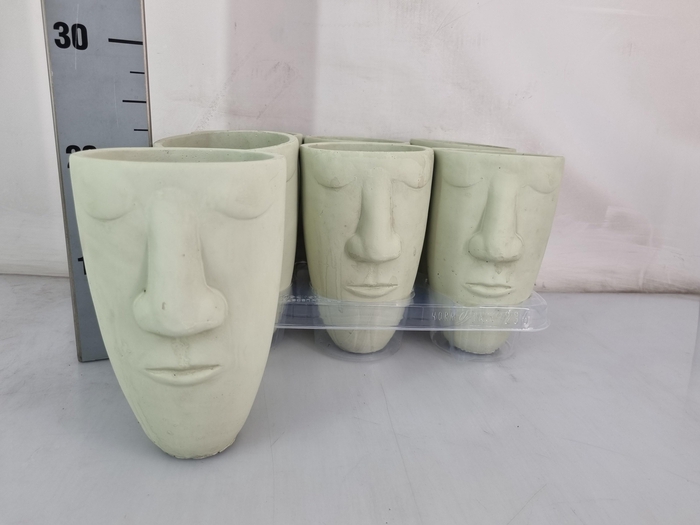 <h4>HUIS EN TUINDECO H%</h4>