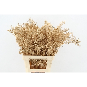 DF Ruscus 70cm Bs Antiq Gold