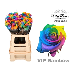 R GR VIP RAINBOW 65cm