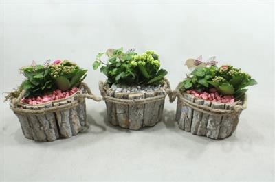 <h4>1192 SCHORS R/W MINI</h4>