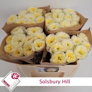 R GR SOLSBURY HILL