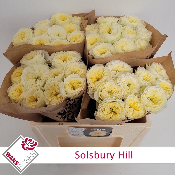 <h4>R GR SOLSBURY HILL</h4>