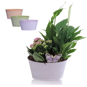 Collectie Wave arrangement in zinken pot ovaal 19 cm