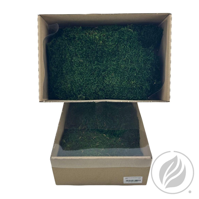 <h4>Lappenmos Preserved Mos Groen X 6</h4>