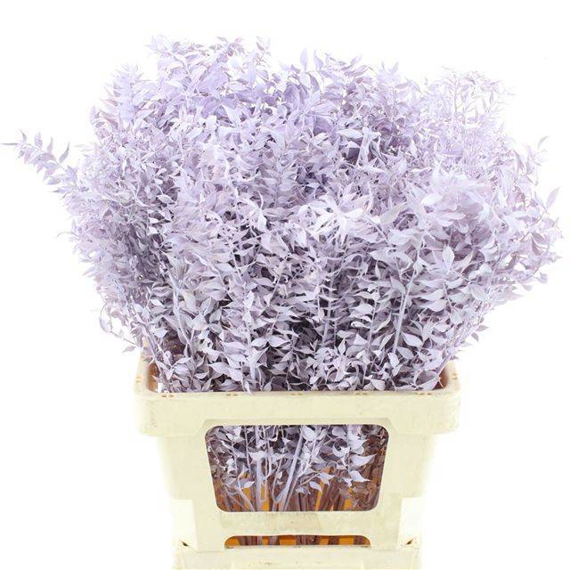 <h4>RUSCUS OV KLB H%</h4>