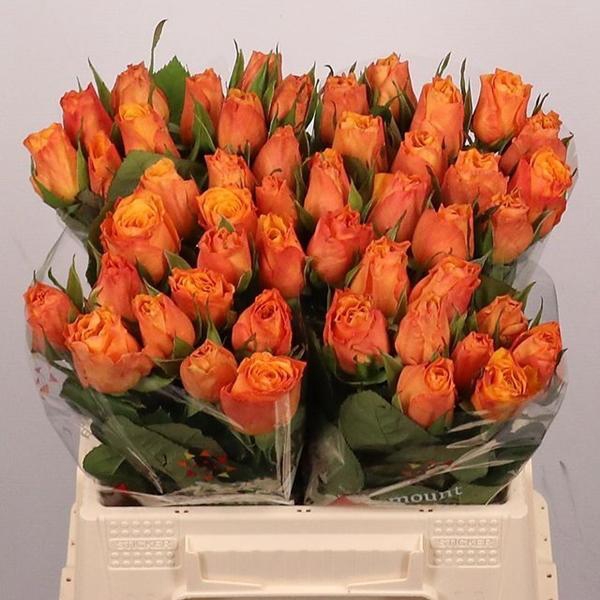 <h4>R GR CONFIDENTIAL</h4>