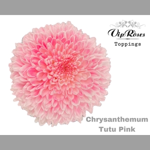 CHR G TUTU PINK
