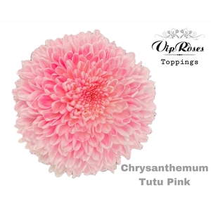 CHR G TUTU PINK