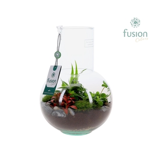 Green Bottle Suzanne Medium met arrangement