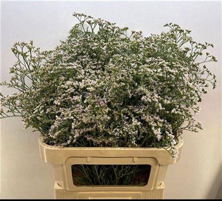 <h4>Lim White Neto</h4>