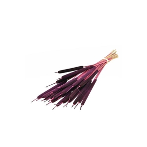 Typha Small Sb Prune