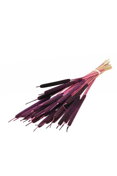 <h4>Typha Small Sb Prune</h4>