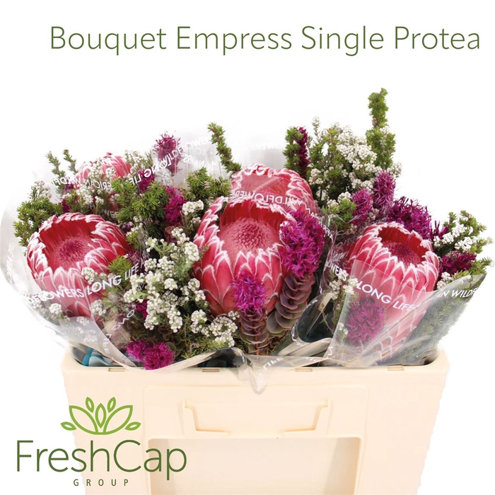 <h4>Bouquet Empress Single Protea</h4>
