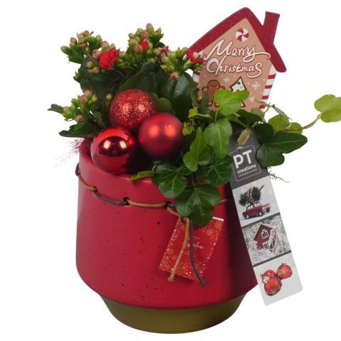 <h4>PTCHR7201 Arrangement Christmas Red in keramiek pot</h4>