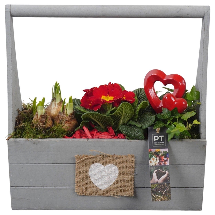 <h4>PTVO3621 Arrangement Valentine Outdoor in houten bak</h4>