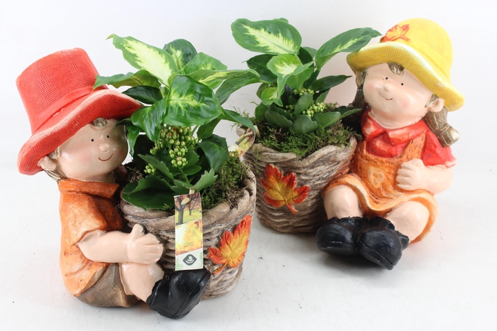 <h4>arr2 JS - Boy & girl orange mix 335/2</h4>