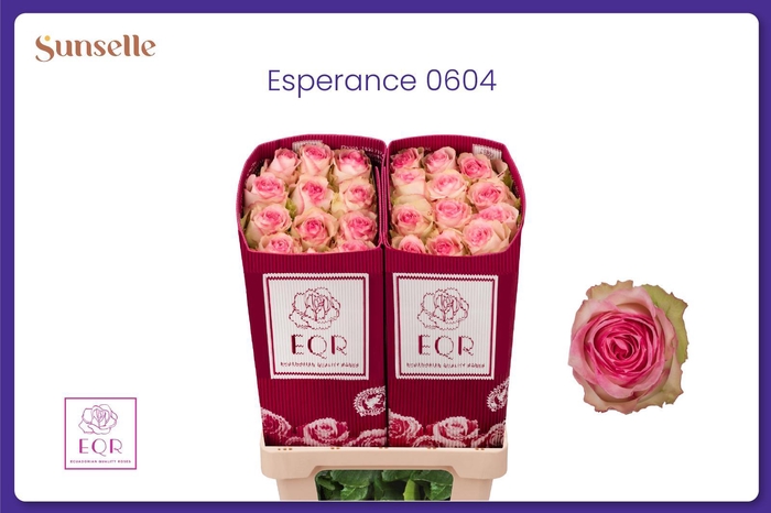 <h4>R GR ESPERANCE</h4>