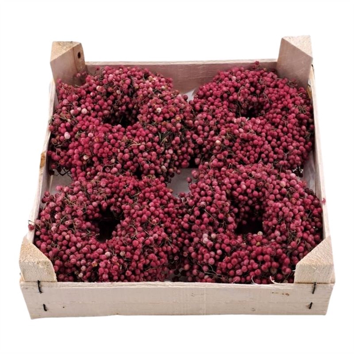 <h4>Krans Schinnus Nat. (Pepperberry)</h4>