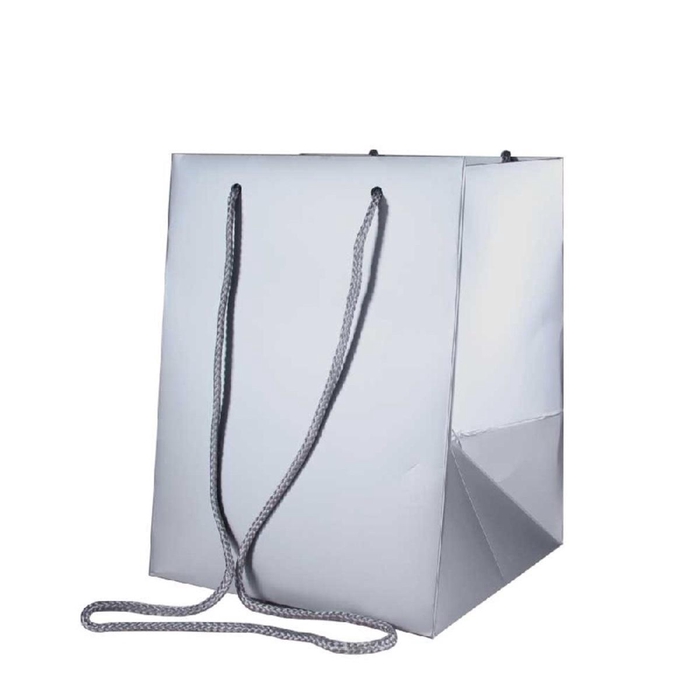 <h4>Bags Olympic 25*18*18cm</h4>